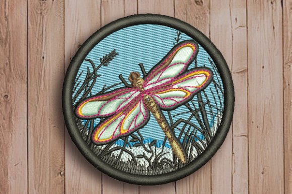 Dragonfly in a Circle: A Designer’s Review