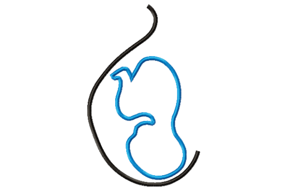 Pregnancy Applique: A Designer’s Real-World Review