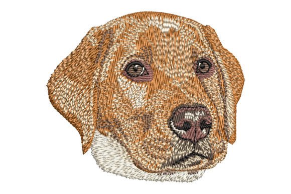 Review: Red Fox Labrador Retriever Puppy Embroidery